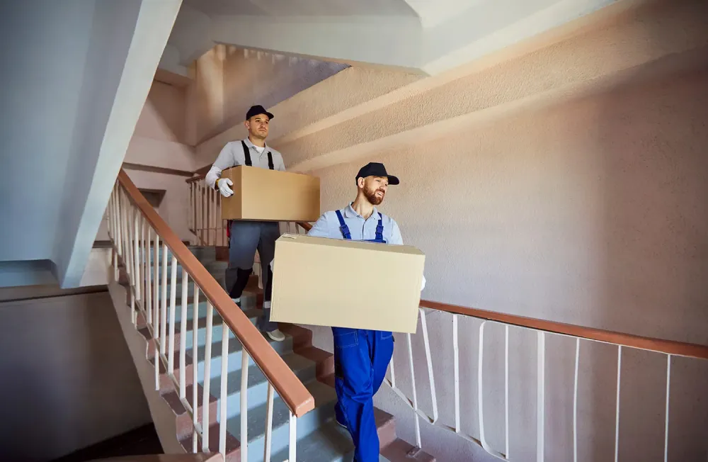 Service de déménagement à Pia